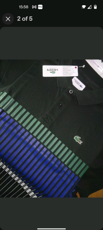 lacoste 8 size